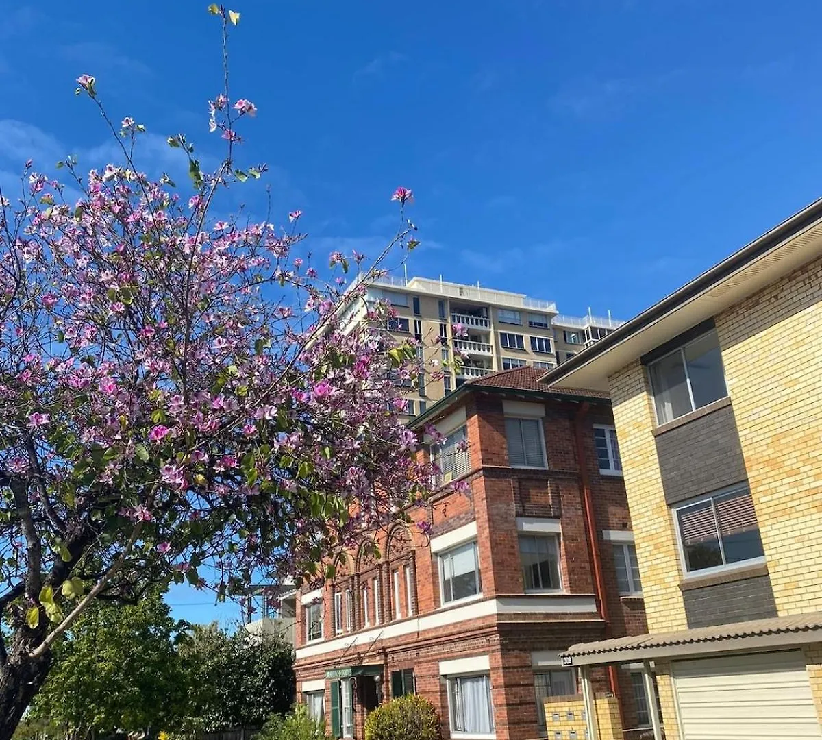 Bright Apartment In Trendy New Farm Brisbane
